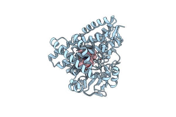 8FID image