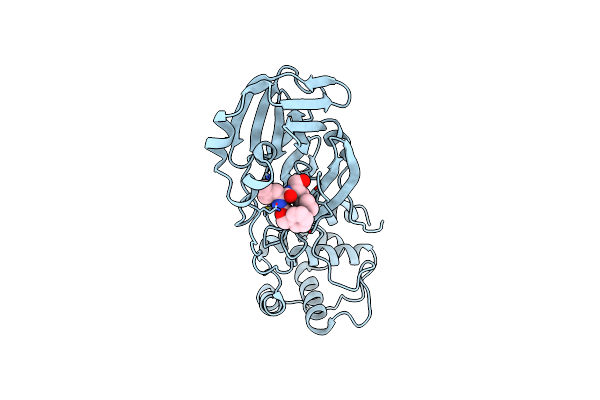 8FIG image