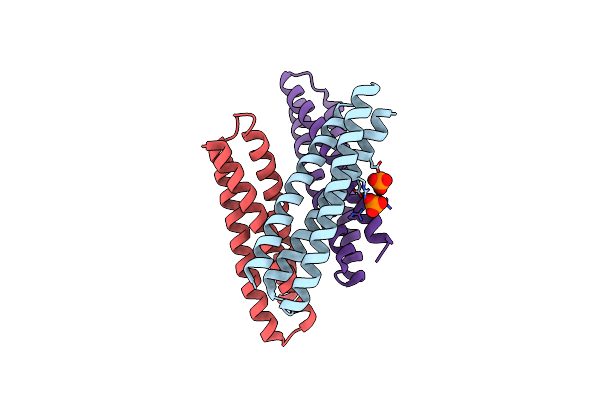 8FIH image