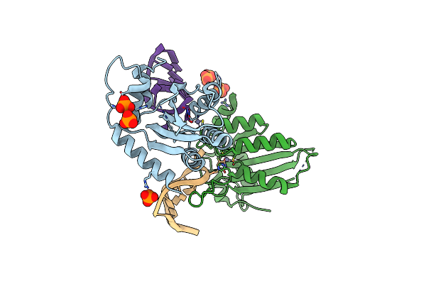 8FII image