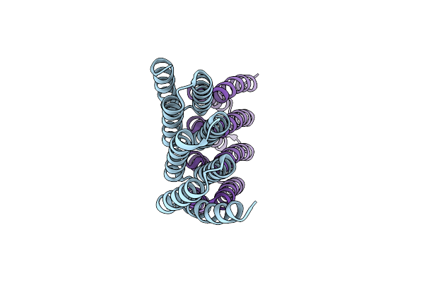 8FIN image