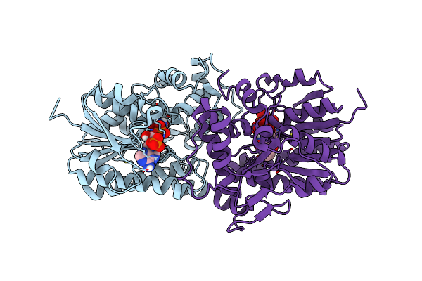 8FIP image