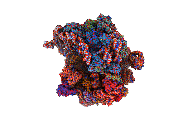 8FIZ image