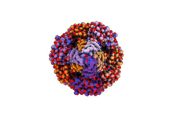 8FJ5 image