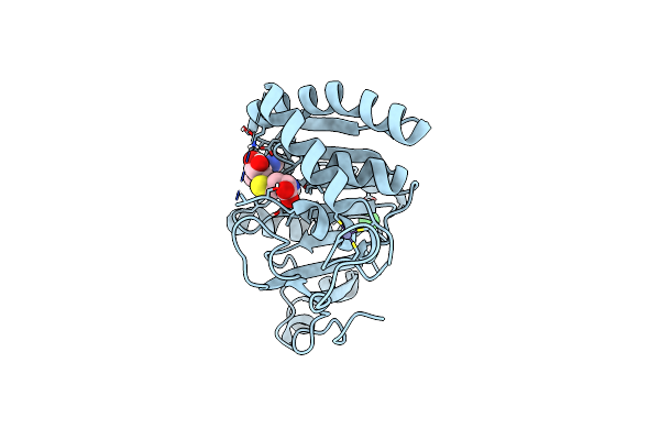 8FJN image