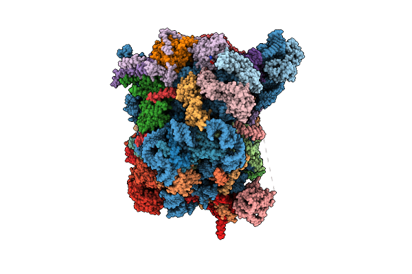 8FKT image