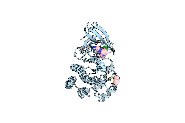 8FLG image