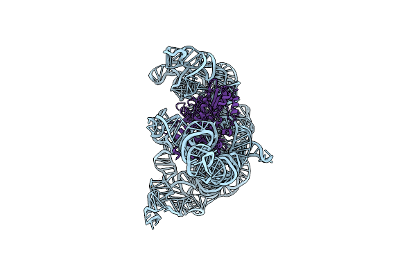 8FLI image