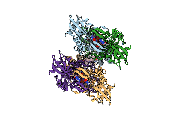 8FLM image