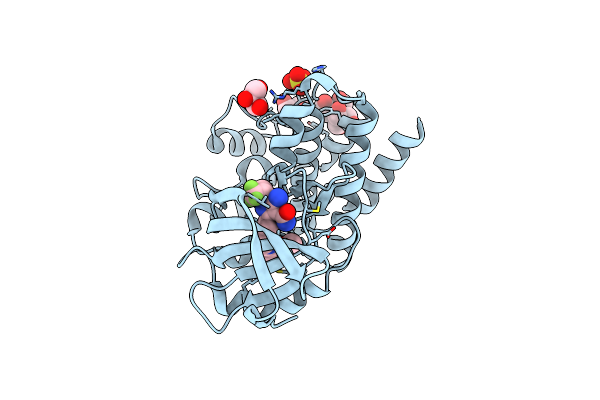 8FLN image