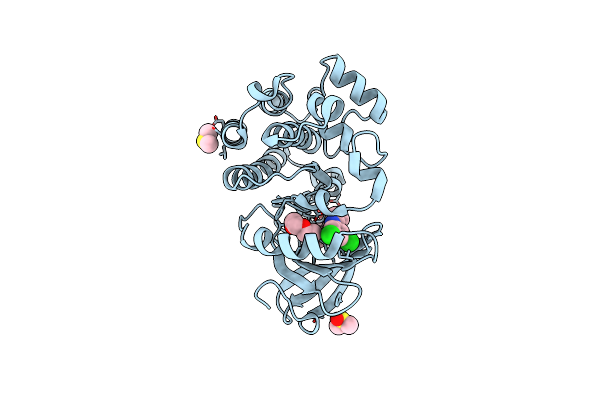 8FLV image