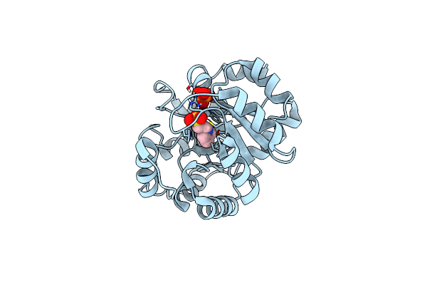 8FMC image