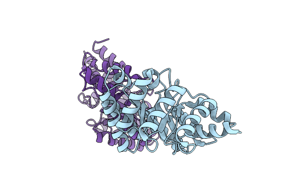 8FMD image