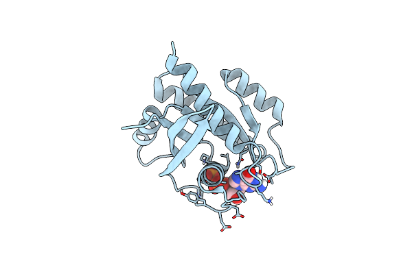 8FMI image