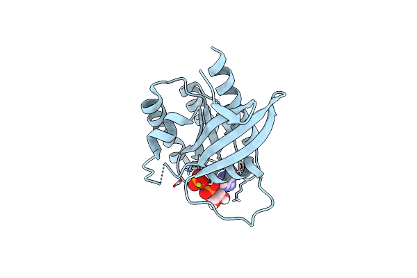 8FMK image