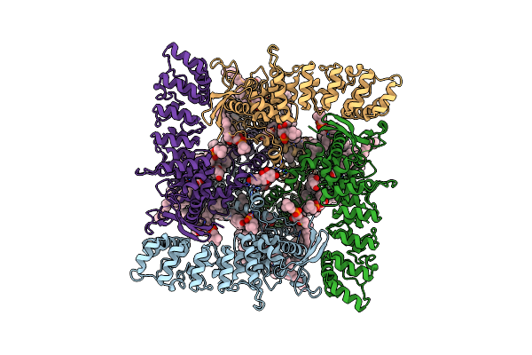 8FOA image