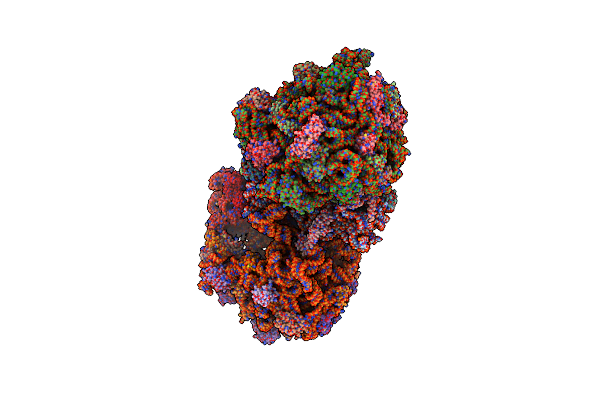 8FON image