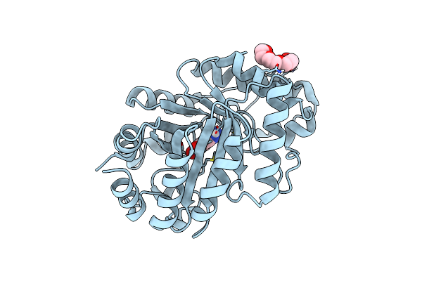 8FOS image