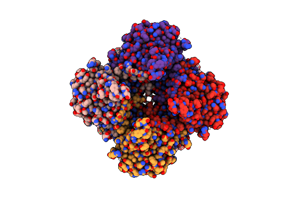 8FOZ image