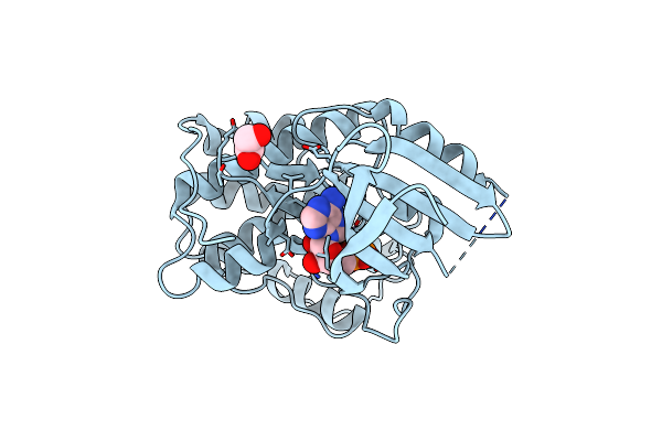 8FP5 image