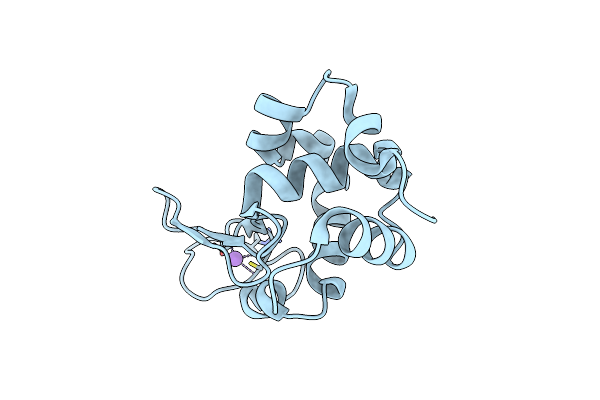 8FP8 image
