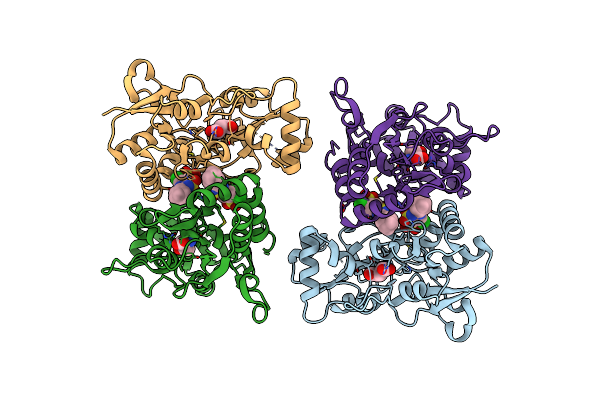 8FPH image