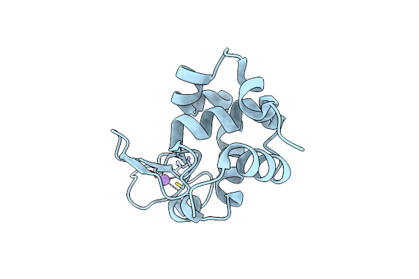 8FPP image
