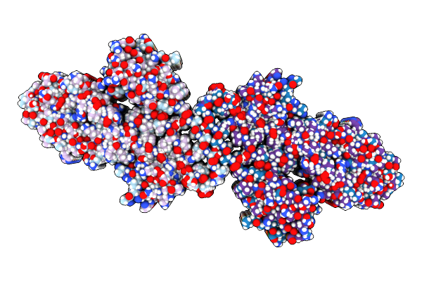 8FPT image