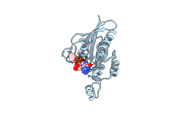 8FPX image