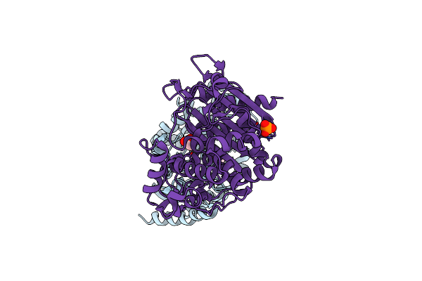 8FQP image