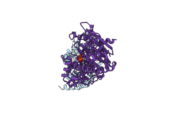 8FQT image