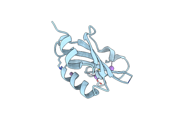 8FR5 image