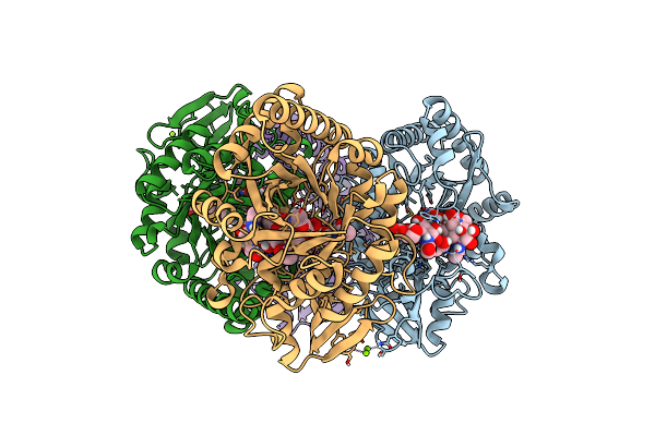 8FRB image