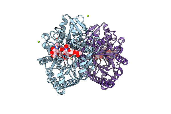 8FRG image
