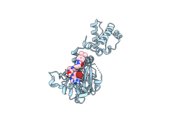 8FRJ image