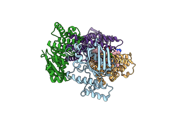 8FRL image