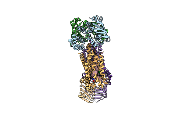 8FRO image