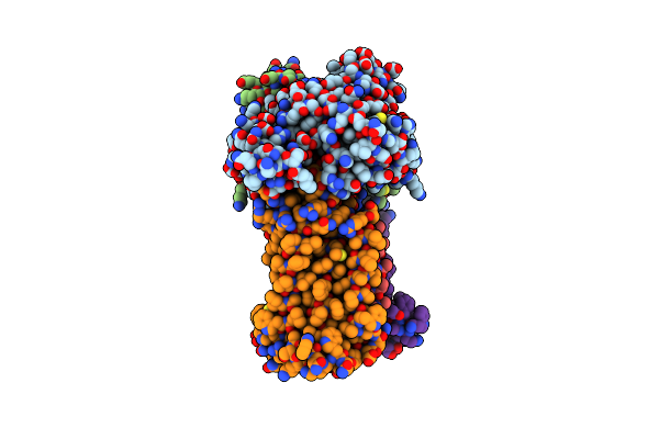 8FRP image