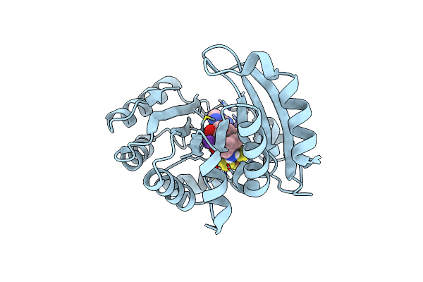 8FSI image