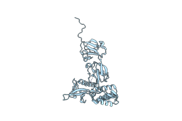 8FSO image