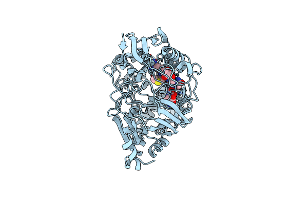 8FSR image