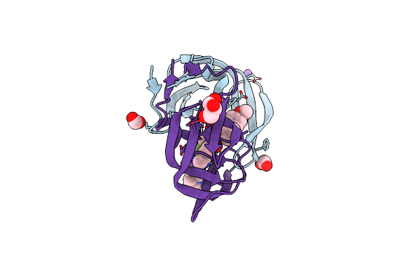 8FUJ image
