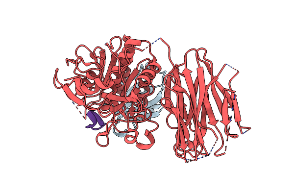 8FVN image