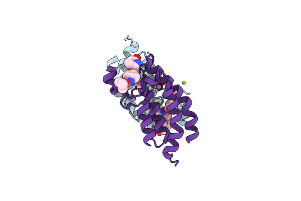 8FVS image