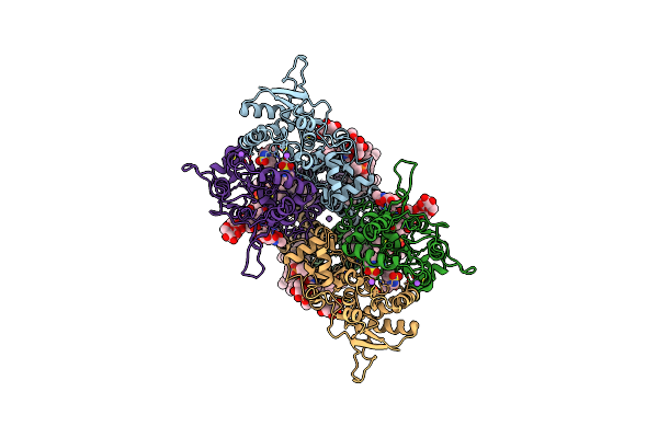 8FWS image