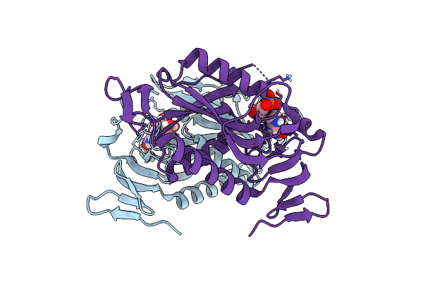 8FX2 image