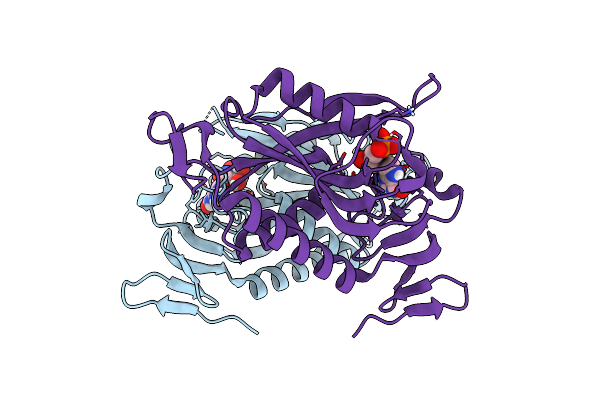 8FX3 image