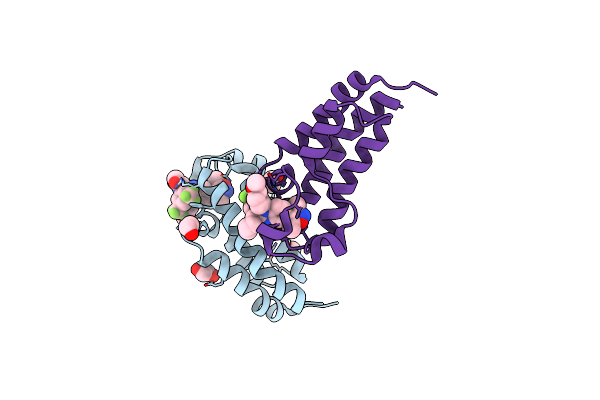 8FXA image