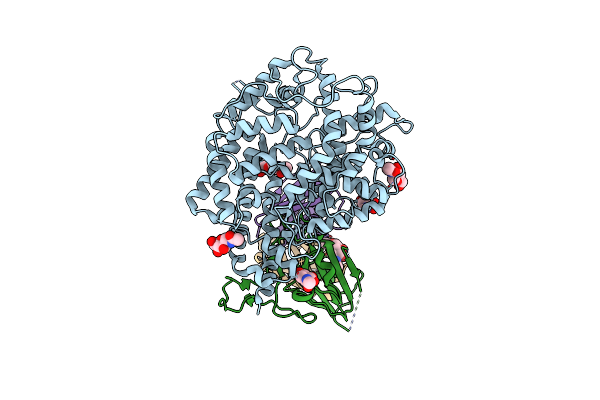 8FXB image