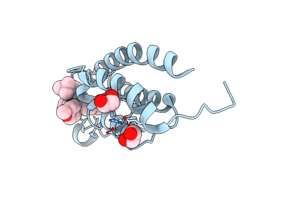 8FXE image